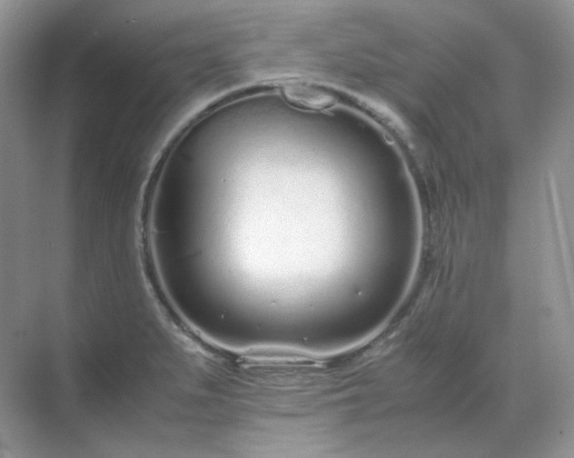 X0000071811279200607072108