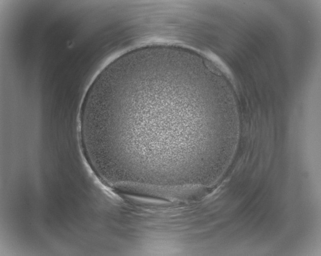 X0000071811287200607072108