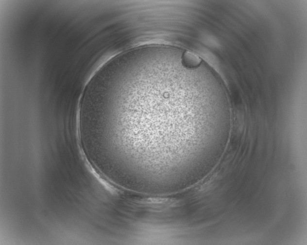 X0000071811290200607072108