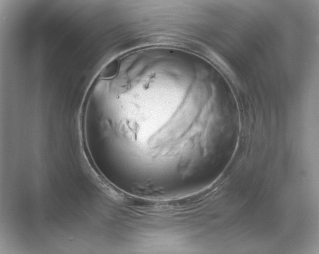 X0000071811291200607072108