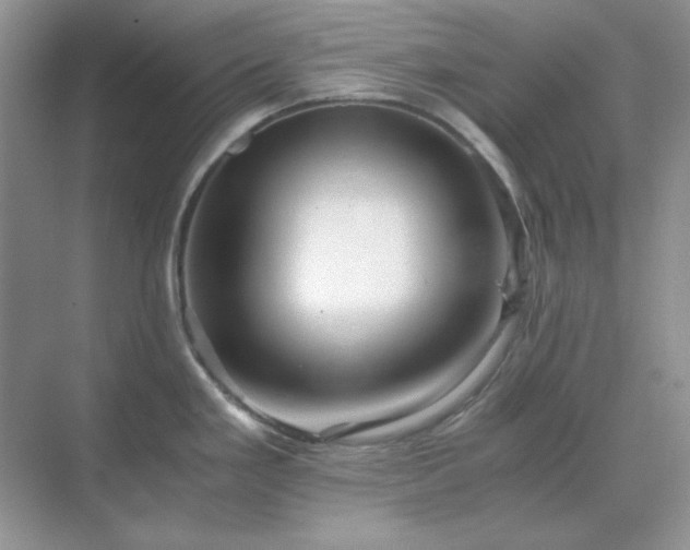 X0000071811293200607072108