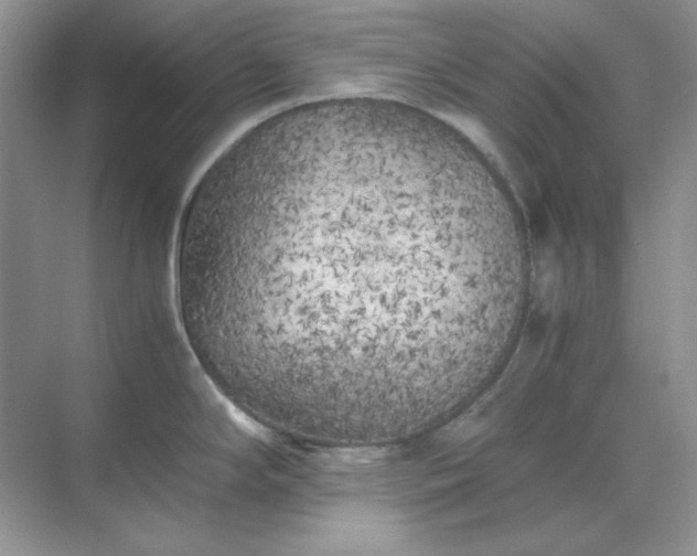 X0000071811294200607072108