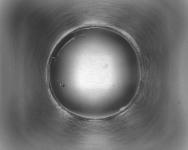 X0000071811295200607072108