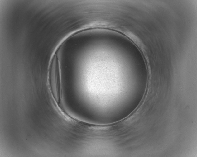 X0000071811296200607072107