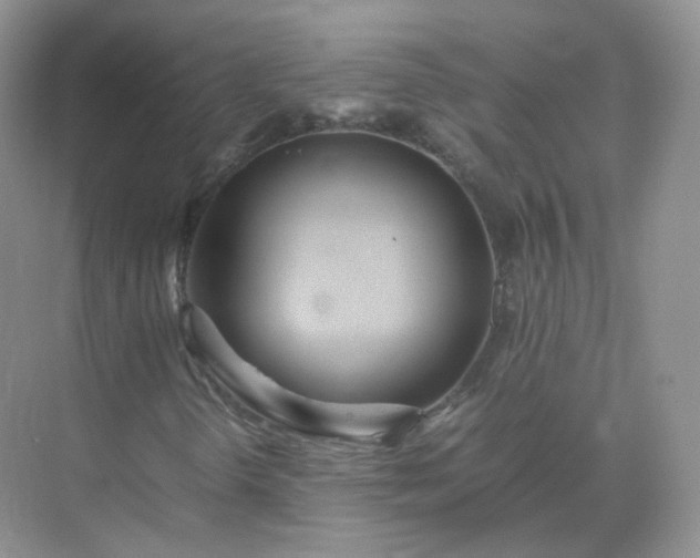 X0000071811298200607072107