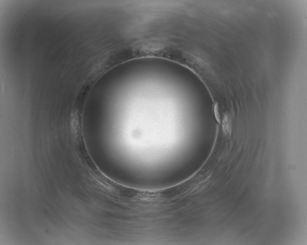 X0000071811299200607072107