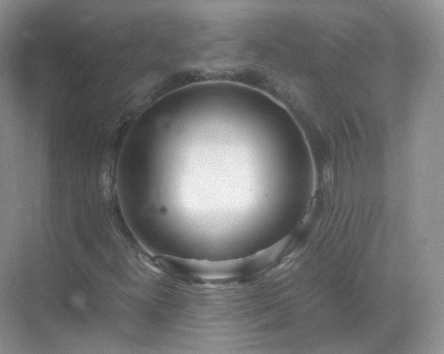 X0000071811300200607072107