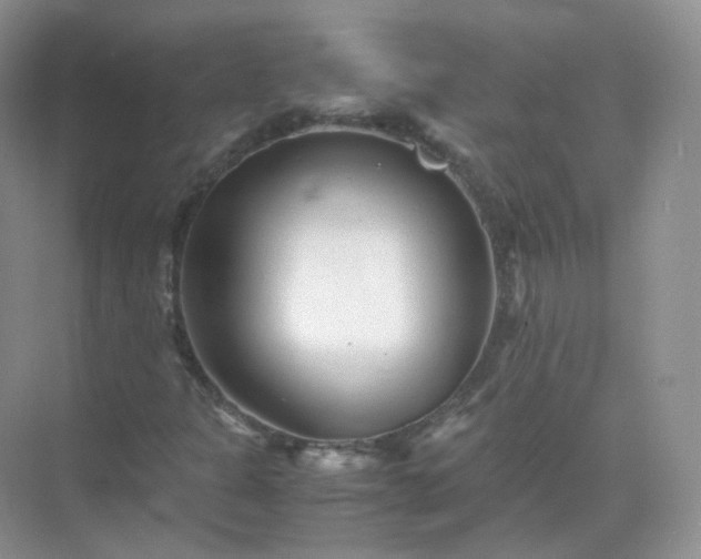 X0000071811301200607072107