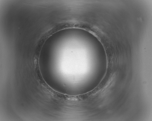 X0000071811302200607072107