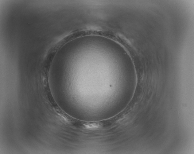 X0000071811303200607072107