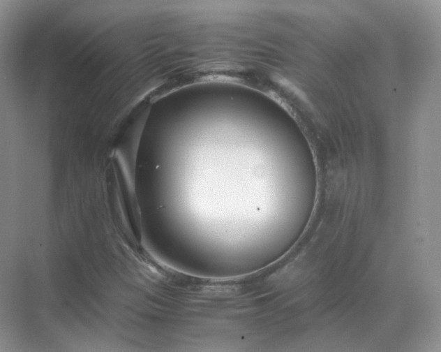 X0000071811305200607072107