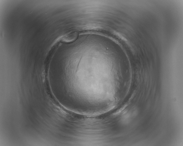 X0000071811306200607072107