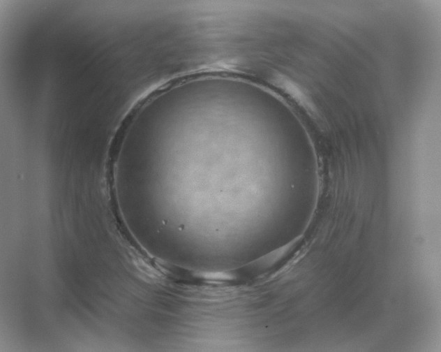 X0000071811308200607072107