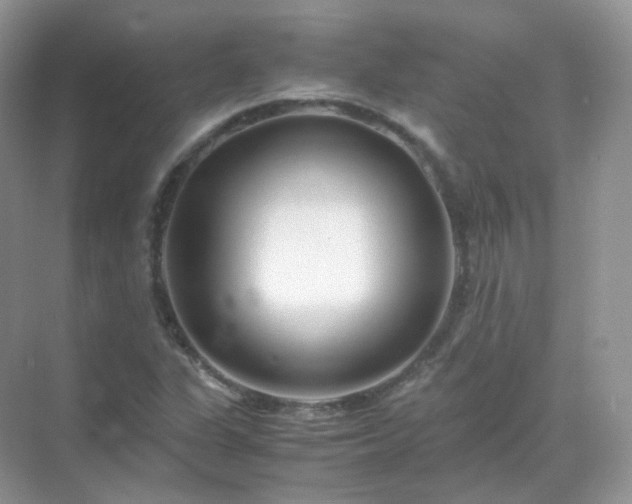 X0000071811311200607072107