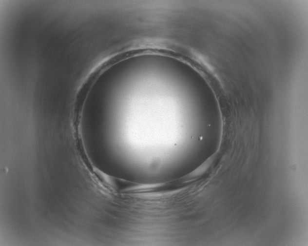 X0000071811312200607072107