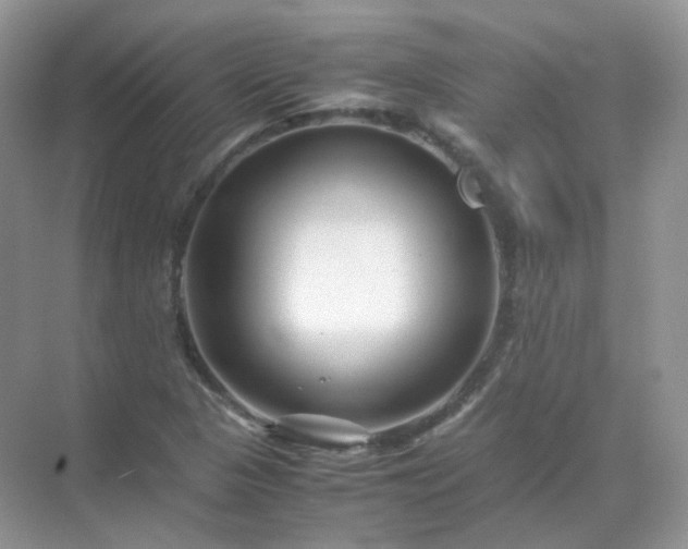 X0000071811313200607072107