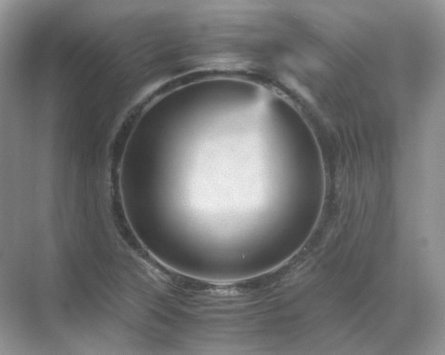 X0000071811315200607072107