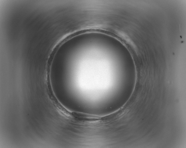 X0000071811316200607072107