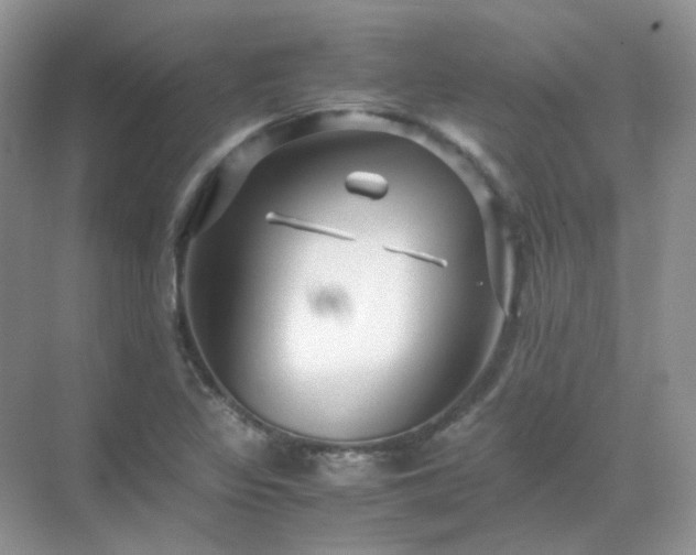 X0000071811317200607072107