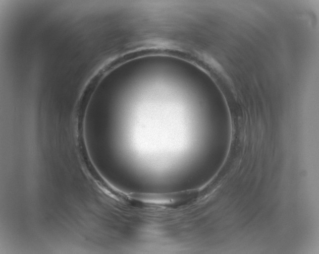 X0000071811318200607072107