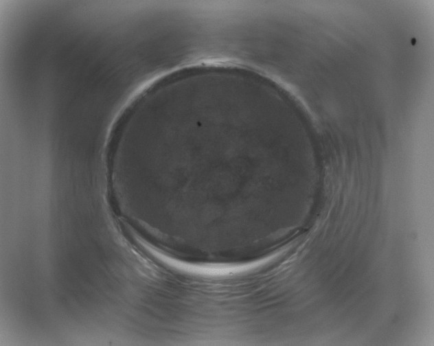 X0000071811319200607072107