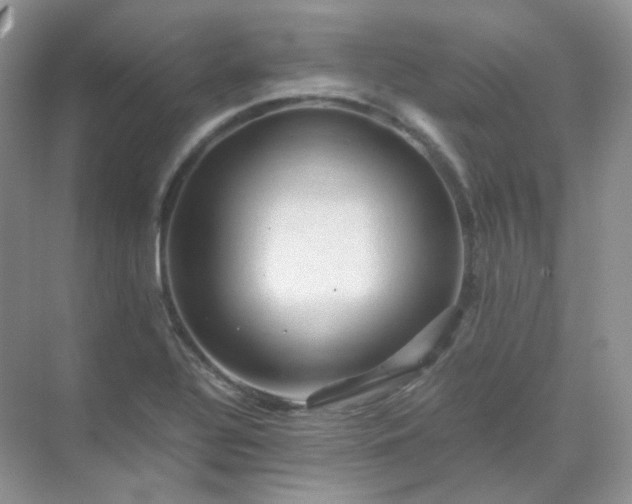 X0000071811320200607072107