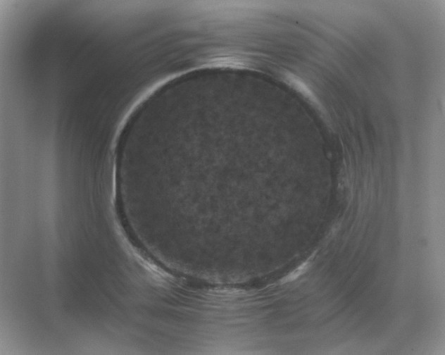 X0000071811323200607072107