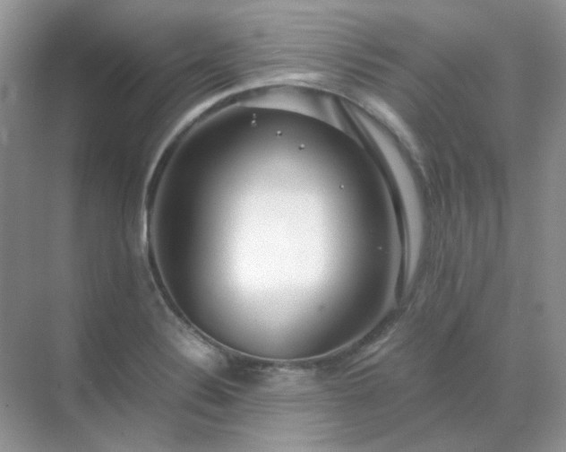 X0000071811324200607072107