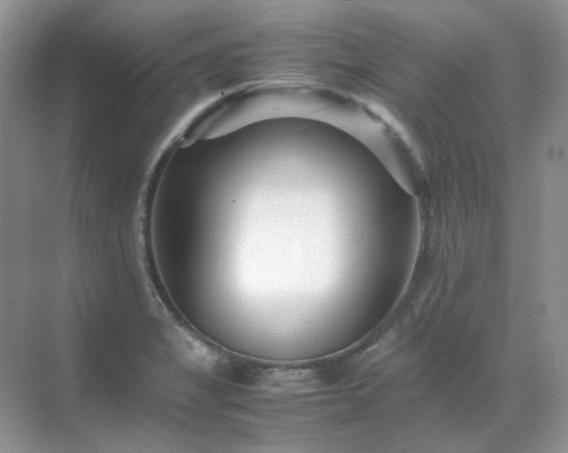 X0000071811325200607072107