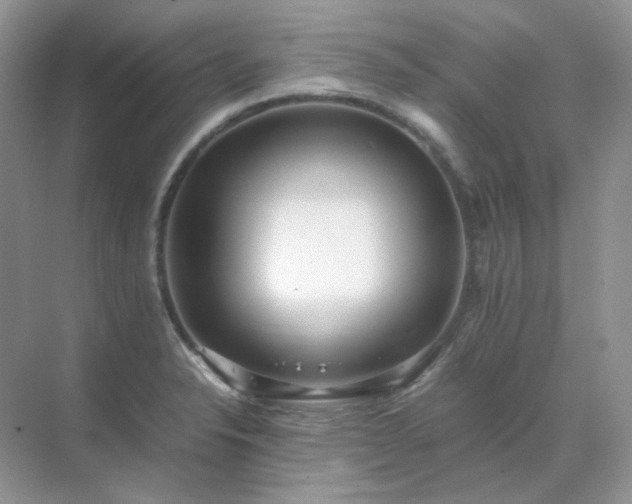 X0000071811326200607072107