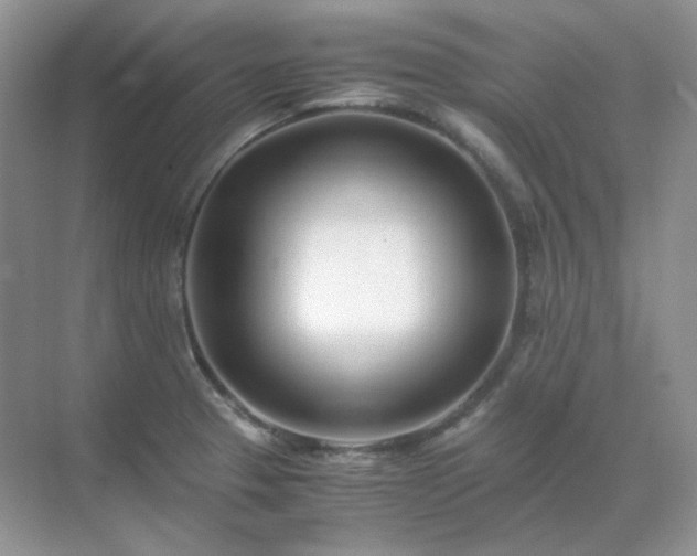 X0000071811329200607072107