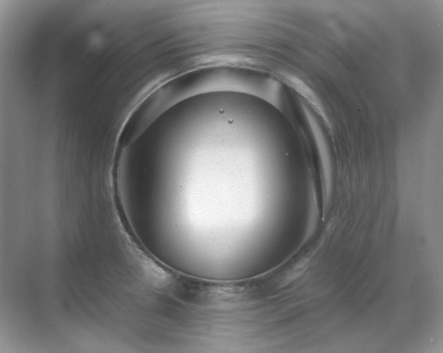 X0000071811330200607072107