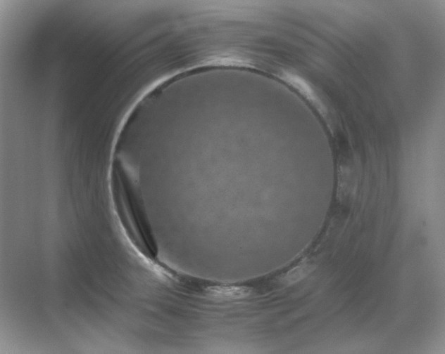 X0000071811331200607072107