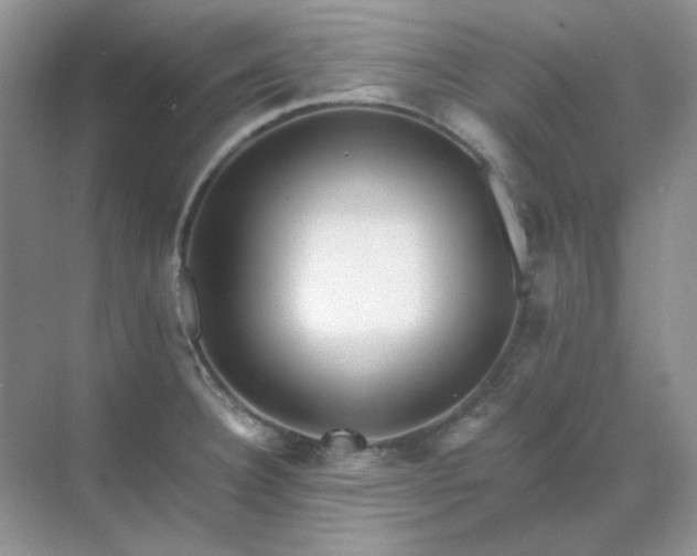 X0000071811332200607072107