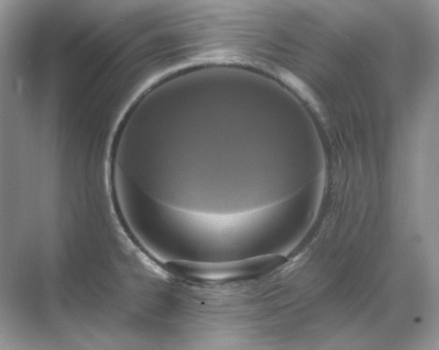 X0000071811334200607072107