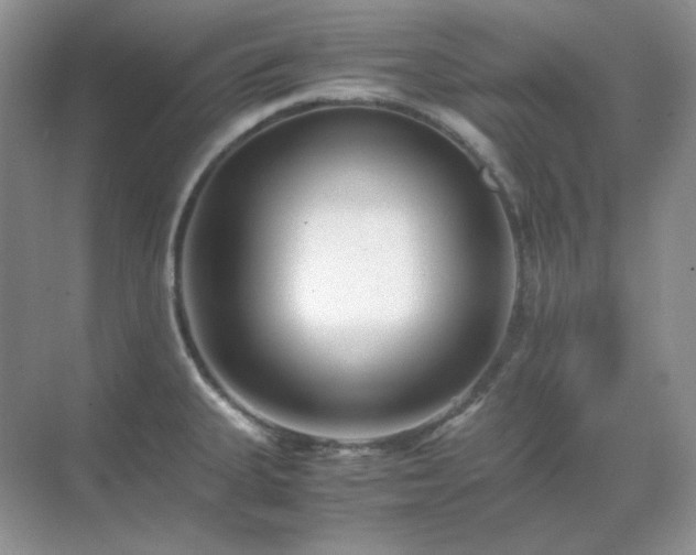 X0000071811335200607072107