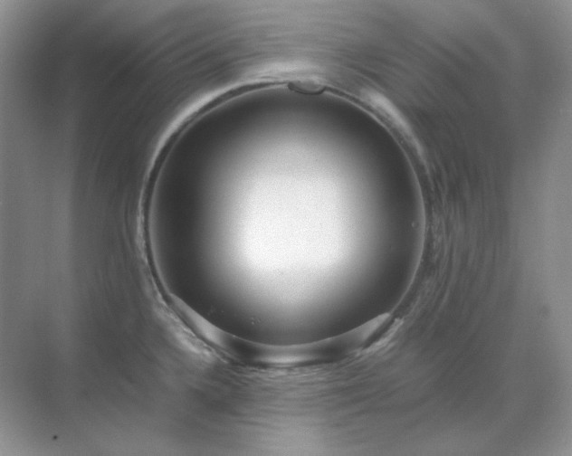 X0000071811336200607072107