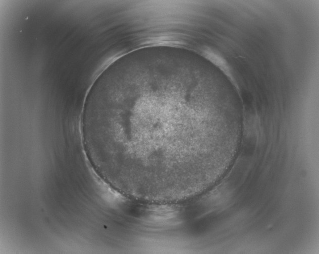 X0000071811338200607072107