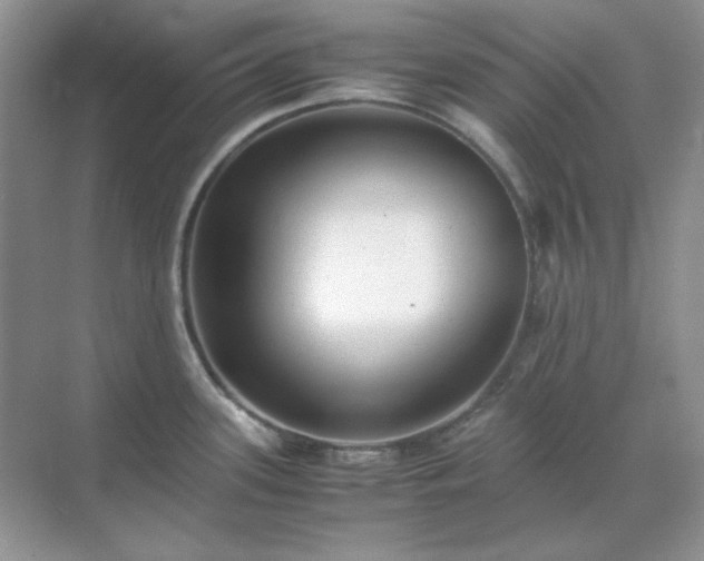 X0000071811339200607072107