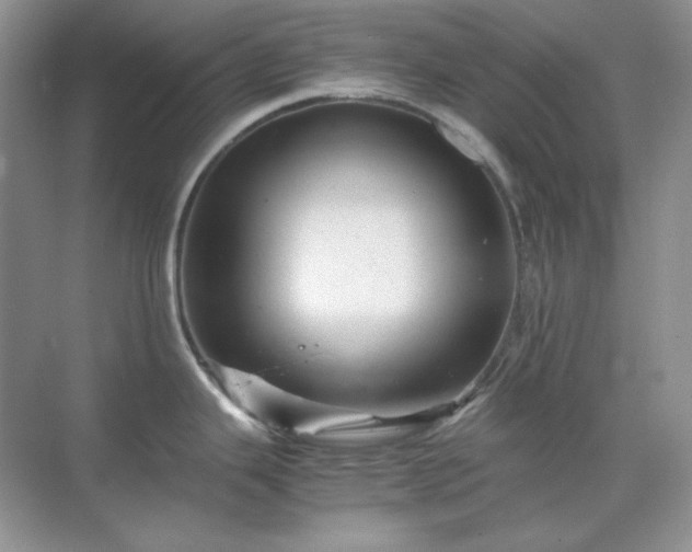 X0000071811343200607072107