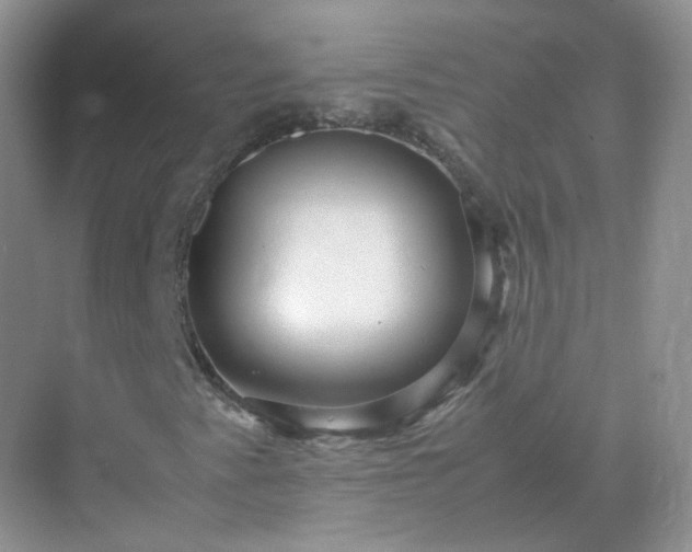 X0000071811345200607072107