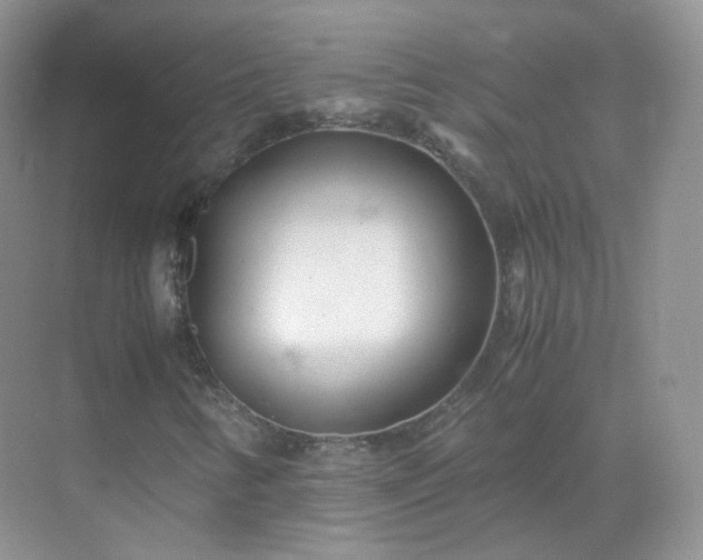 X0000071811346200607072107