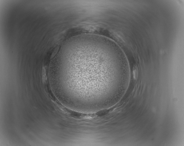 X0000071811347200607072107