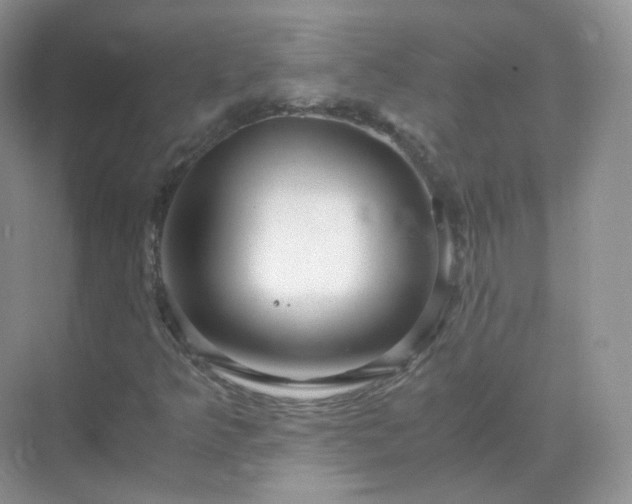 X0000071811349200607072107