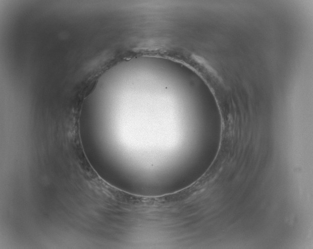 X0000071811350200607072107