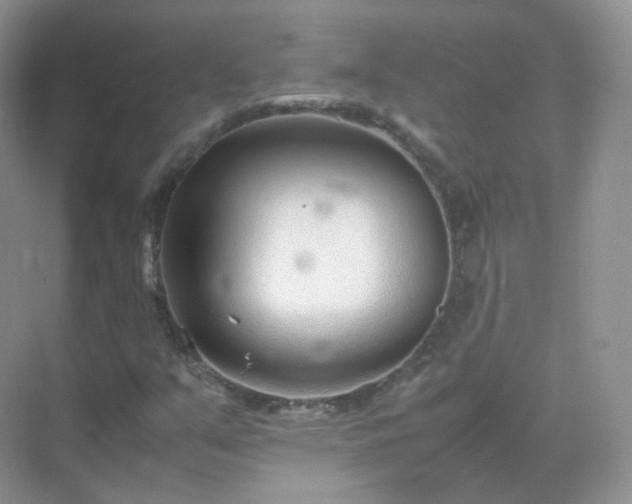 X0000071811351200607072107