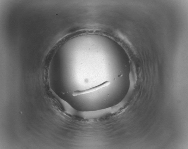 X0000071811352200607072107