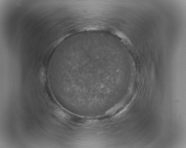 X0000071811353200607072107