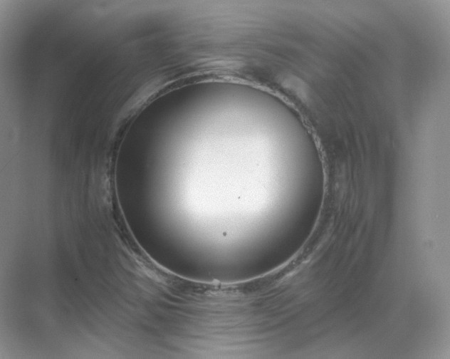 X0000071811354200607072107