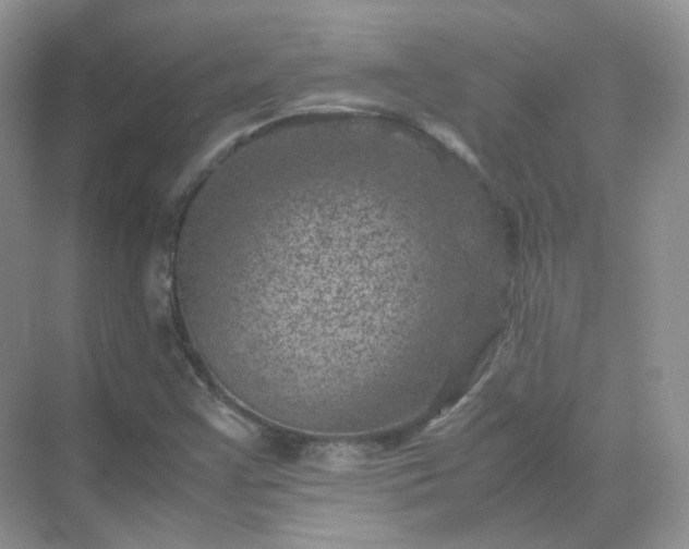 X0000071811355200607072106